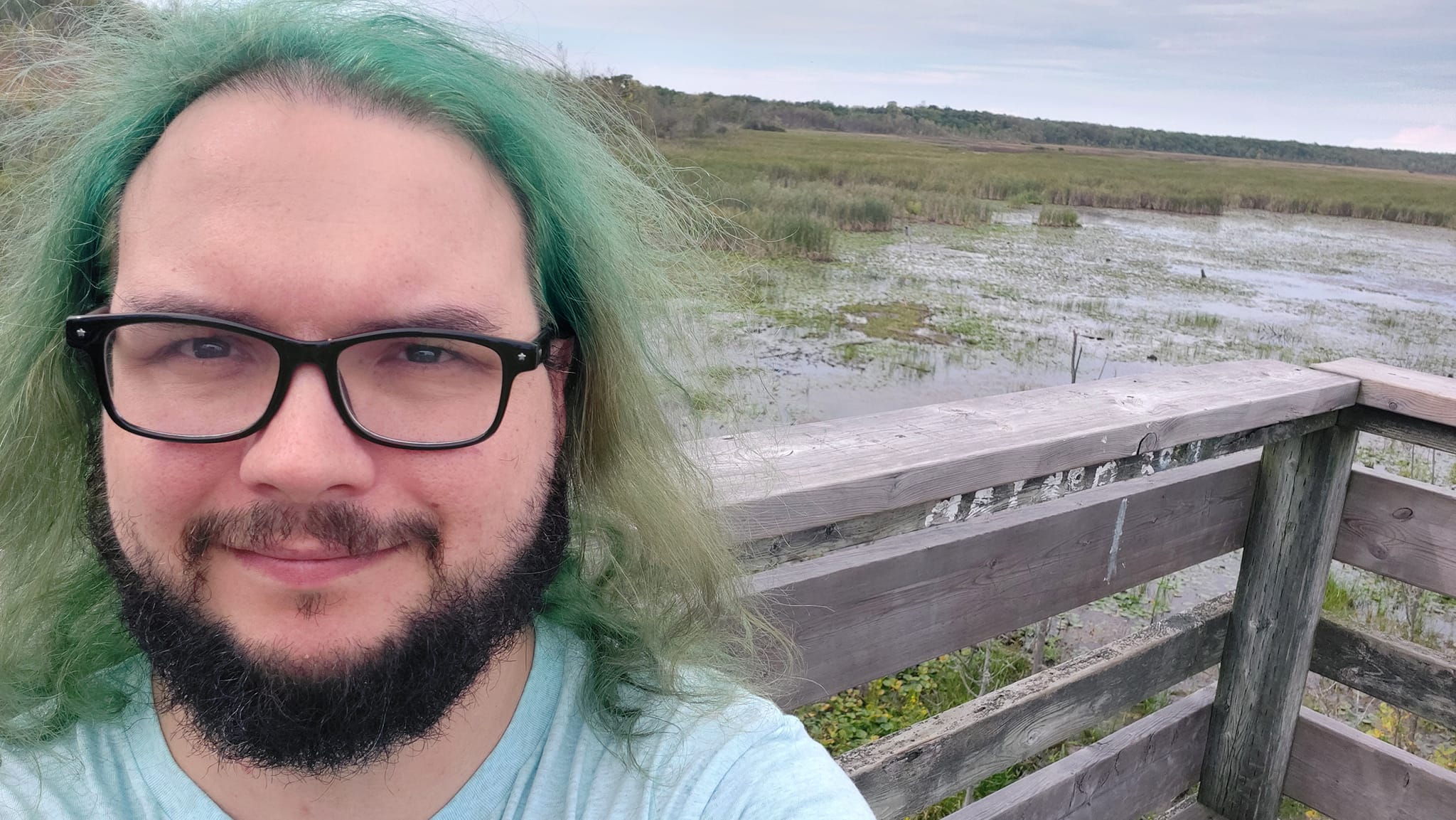 A man with green hair sits on the upper platform of a lookout, marsh is in the background, Photo 3